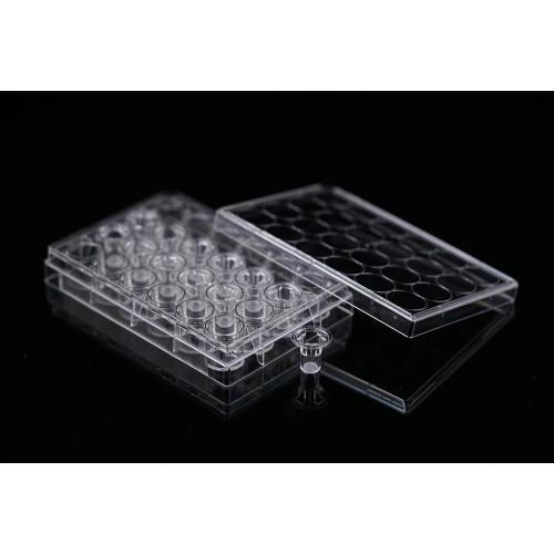 Pet Memberane Cell Culture Inserts สำหรับแผ่น 24 หลุม