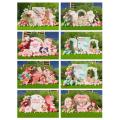 /msite/products/detail/productid/63426457/id/1521672.html