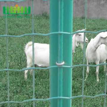 Berkualiti tinggi Holland Euro Wire Mesh Pagar