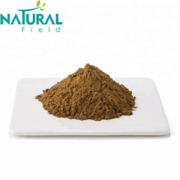 Angelica Extrat 10:1 Angelica Extract powder