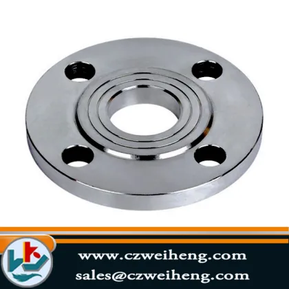 Flange/Steel Flange/Pipe Flange/Ring