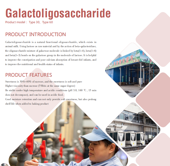 prebiotic GOS 90 مسحوق التحلية القلة galactooligosaccharide