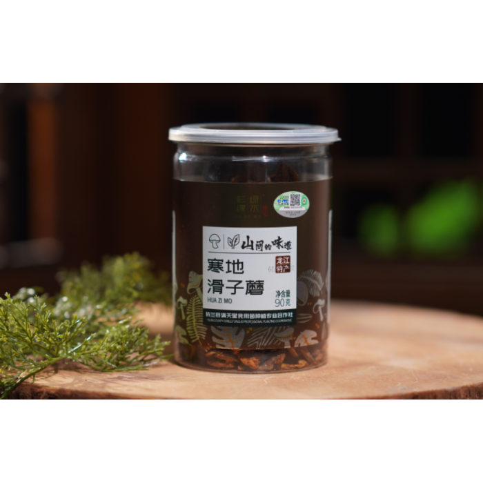 Delicioso cogumelo seco e escorregadio