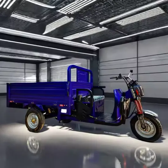 Automatic Reverse Electric Tricycle