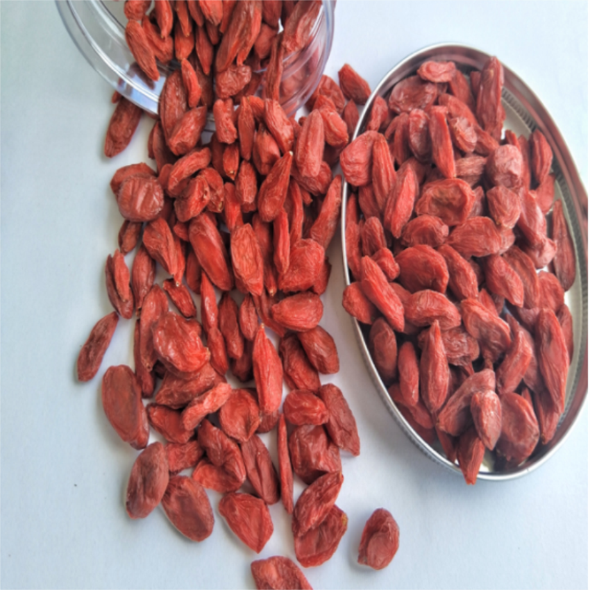 rendah Harga kelas atas Ningxia goji berry / wolfberry