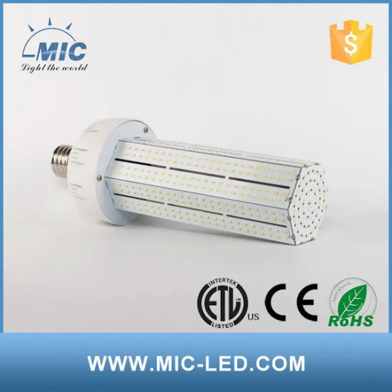 led corn garden lamp 120w led garden light                
                                    Quality Assured