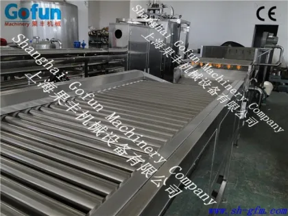 Fruit and Vegetable Brush Washing machine/food Brush cleaning machine/food processing machine
