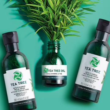 Tea Tree Oil100% Kelas Terapi Alami Murni