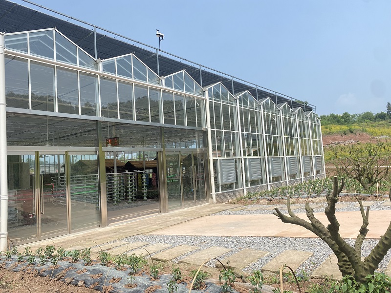 Qingcheng Agriculture has landed the Zhongxian Glass Greenhouse Project, showcasing a new landscape of modern agriculture with smart facilities