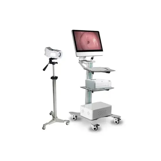 Digital Electronic Video Colposcope Search Engine