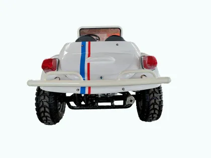 Hot Sale: Mini UTVs, Kids ATVs 150cc, and Mini Fusca