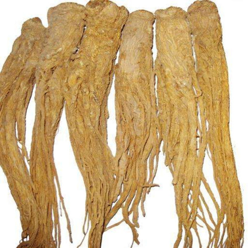 High Quality Chinese Angelica Extract for Health Care