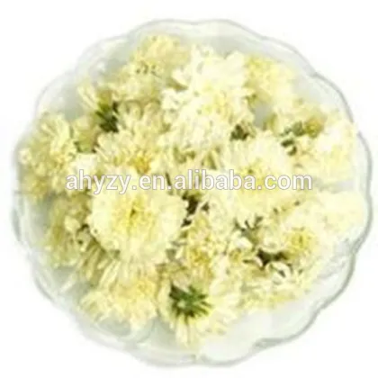 Chrysanthemum Flower (Ju hua)