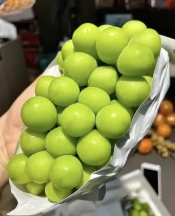 Premium Shine Muscat Grapes Fresh Harvested