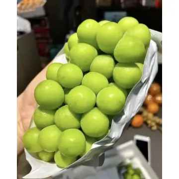 Fresh Seedless Shine Muscat Grapes Delight