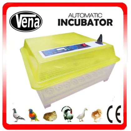 Mini Eggs Incubator for Chicken Eggs