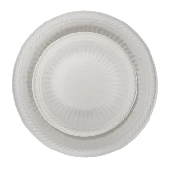 Bio-Based Eco-Friendly Healthy Customizable Disposable Plastic Plate Search Engine