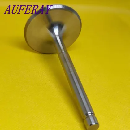 Popular Intake Exhaust Valves 32*7*96 36*7*97 - Auto Parts Valve Tappets for Volkswagen