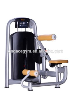 Gym Room Used Professional Commercial Back Extension