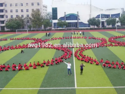 Nature looking sythetic grass for school soccer field
