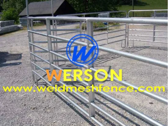 Cattle Panel