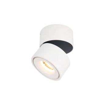 Éclairage intérieur Dimmable à LED à LED 10W monté sur le plafond - Nouveaux arrivants et choix populaires