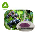 Zwart chokeberry -extract anthocyaninepoeder