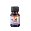 No Pills No Diet ! Weight Loss 100% Strong Effect Camellia Essential oil Belly Body 20 Days Slimming Easy HXJY-20
