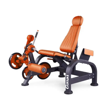 2024 new product Leg Extension machine