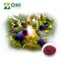 Bubuk ekstrak blueberry Anthocyanosides Anthocyanidin