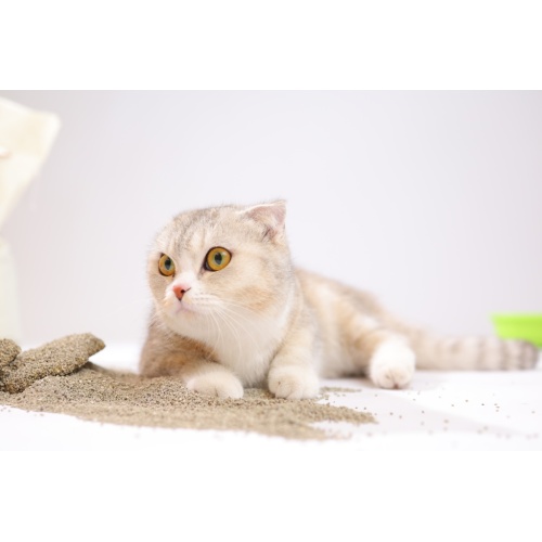 3.0mm ল্যাভেন্ডার সুগন্ধ সক্রিয় চারকোল Bentonite বিড়াল লিটার