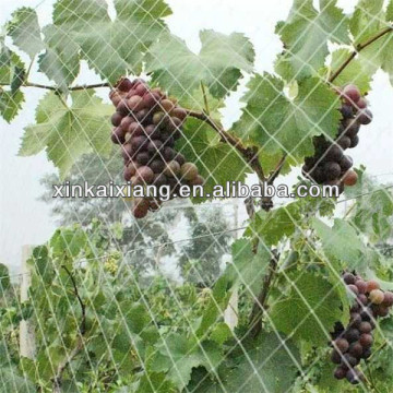 2m or 4m width plastic anti-bird net,plastic trellis netting