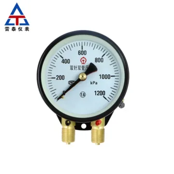 Double needle and double tube pressure gauge