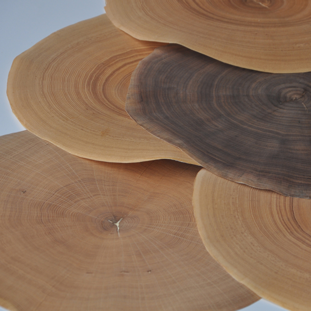 New Design GREENLAND Annual Natural Wood Veneer Annuel Chinese Ash Ring American walnut European Oak