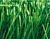 New soccer synthetic grass