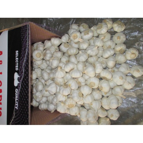 2020 High Quality Pure White Garlic