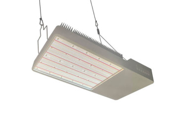 Ampoules LED 3000-6500K 1200W poussent la lumière