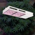 Samsung 301b LED Grow Light Painel de cultivo de plantas