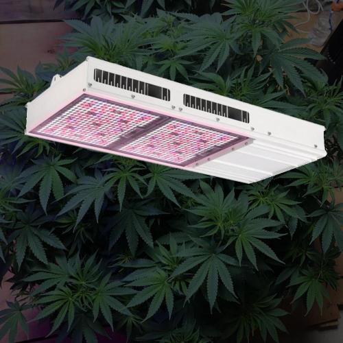 Samsung 301B Led Grow Light Panel Growing Plants