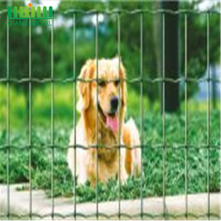 Field Livestock Wire Grassland Fence