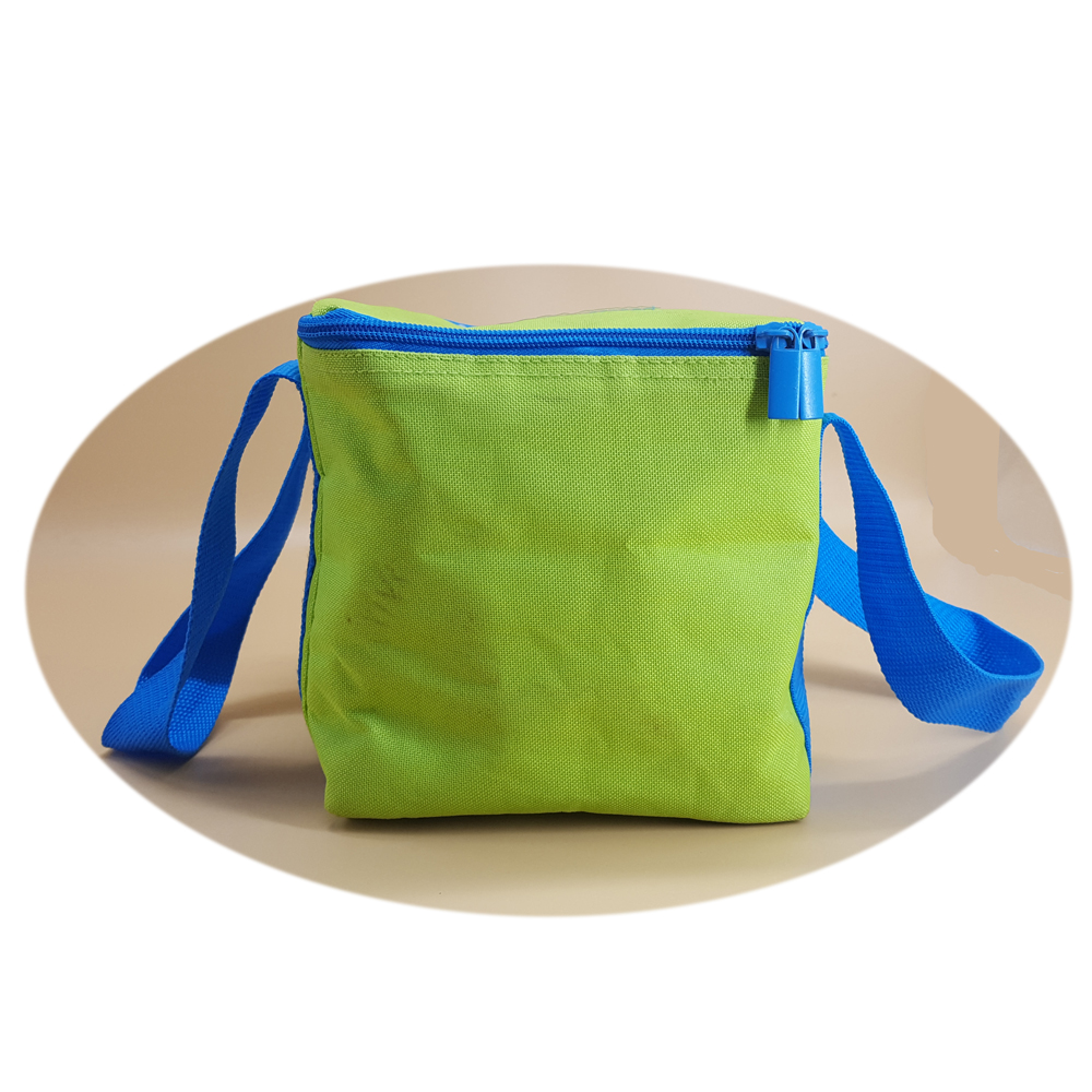 School Children Tote Carry Lunch Cooler Bag