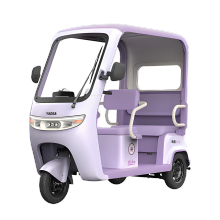 Sunscreen and windproof household electric tricycle