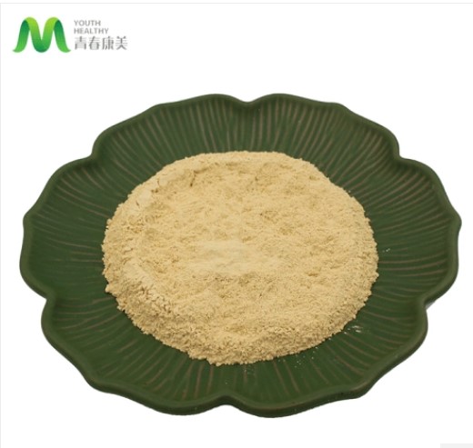 High Nutritional Value Astragalus Root Extract