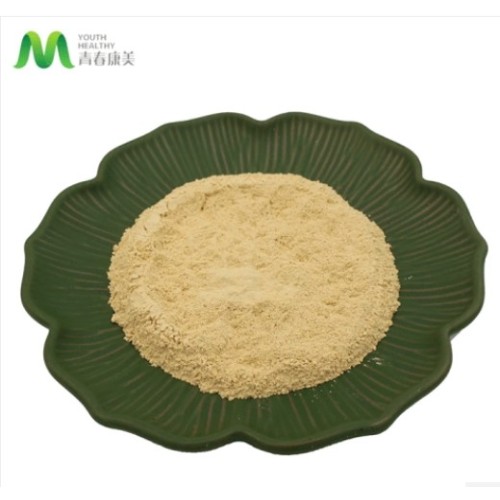 High Nutritional Value Astragalus Root Extract