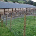 High Strength High Pulling Force Cattle Fence