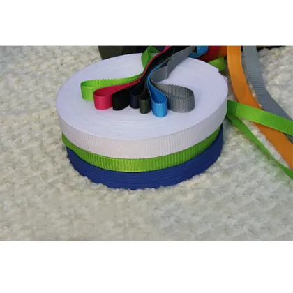 PP Webbing Band Polyester Webbing