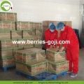 Factory Supply Fruit Bulk 5KG Goji Berry