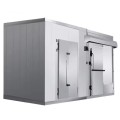 Elatstic Automatic Sliding Cold Storage Door