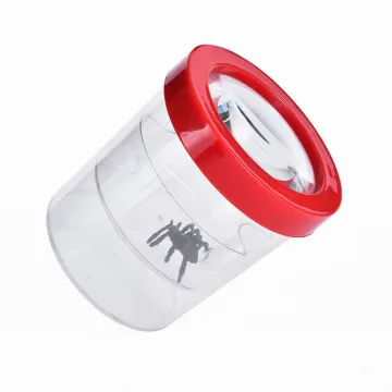Outdoor Classroom: Toy Insect Catcher Observation Box with Magnifier