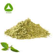 Organic Food Grade Brasil Leaf Extract Powder 10:1